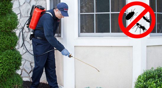 Cumayeri Gümüşkurt İlaçlama böcek ilaçlama ve haşere kontrolü — ilaclama-tr.com